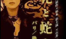 花之蛇6在线观看,在线揭秘，蛇蝎美女的复仇之旅